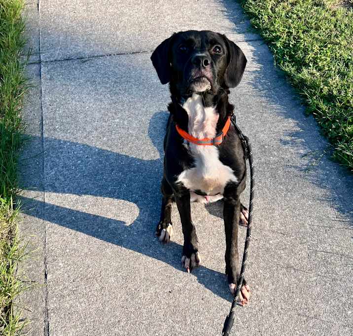Photo of Chase