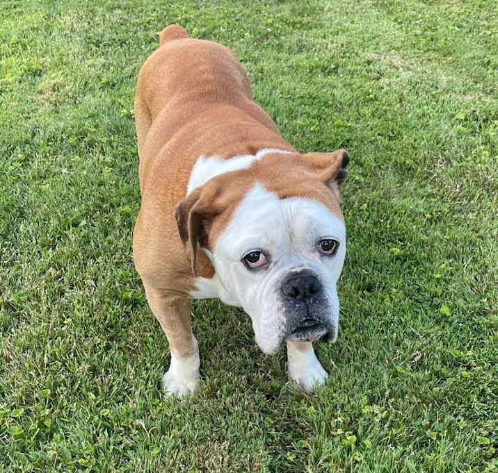 Photo of Gotti