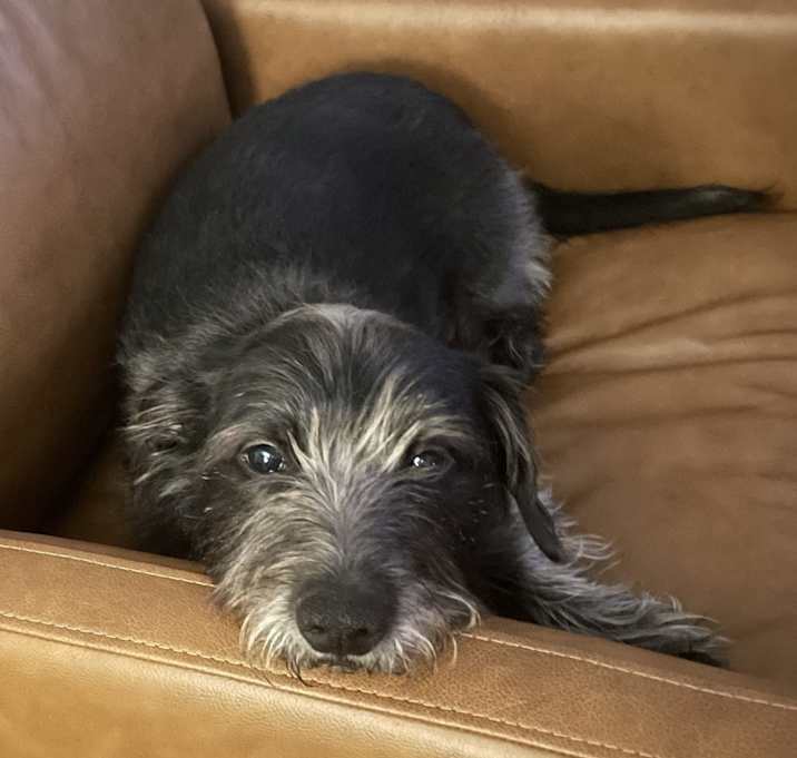 Photo of Diesel