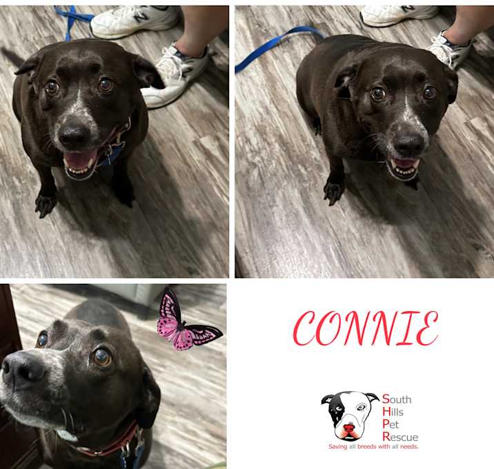 Photo of Connie