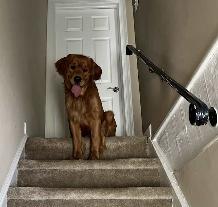 Photo of Jax