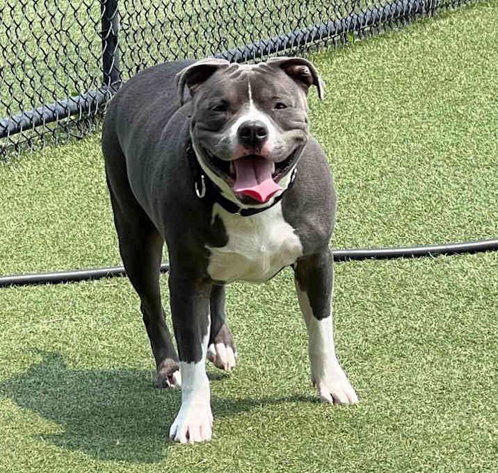 Photo of Tiny