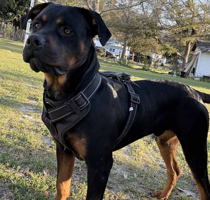 Photo of Zeus