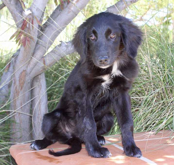 Photo of Zingo