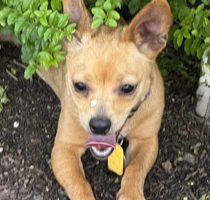 Photo of Maggie