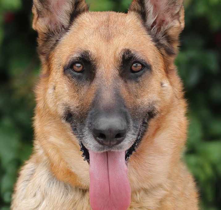 Photo of Sky von Surselva