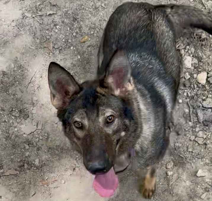 Photo of Lunar