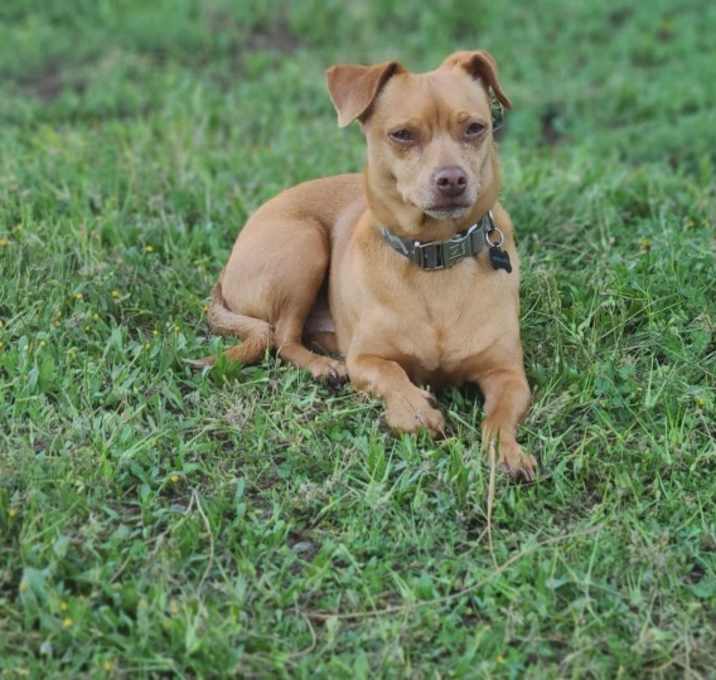 Photo of Willy