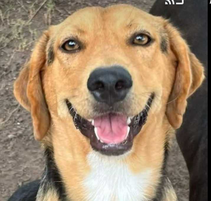 Photo of Happy!