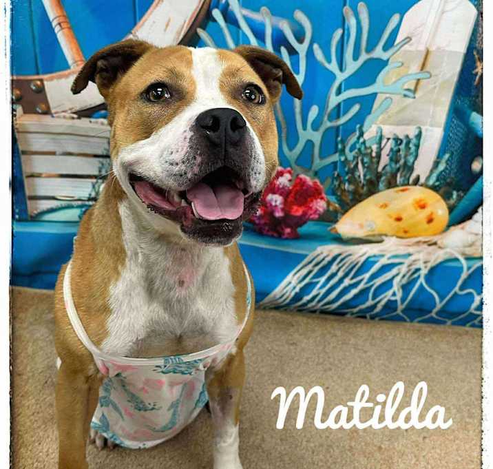 Photo of Matilda