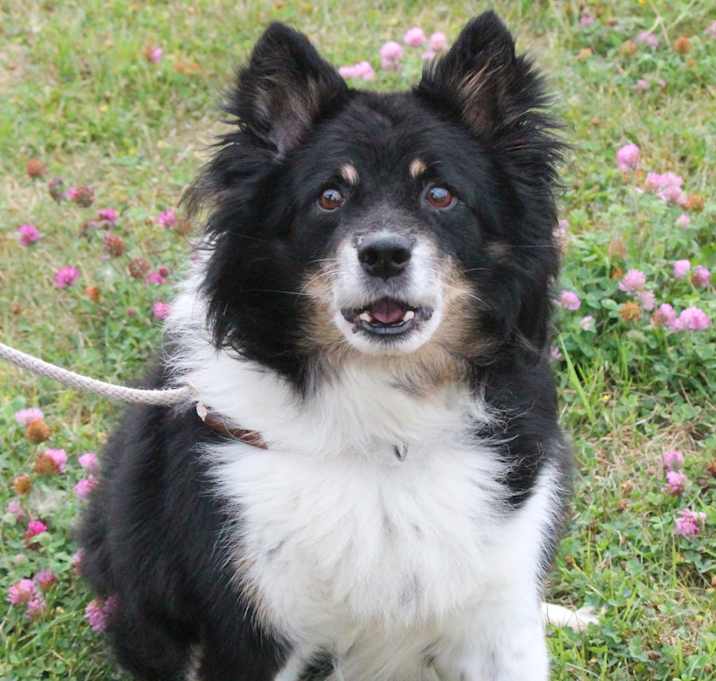 Photo of SAMSON