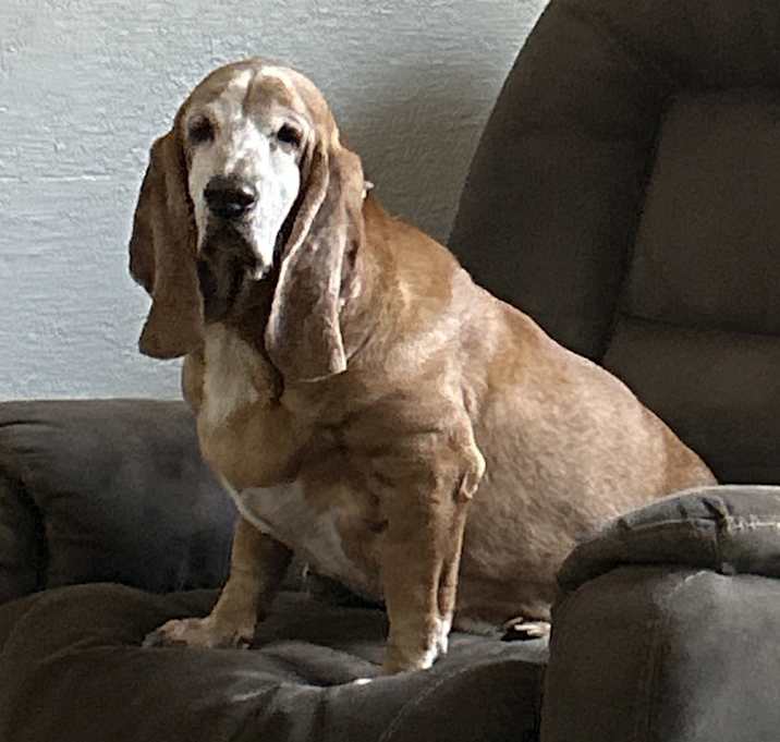 Photo of Bug