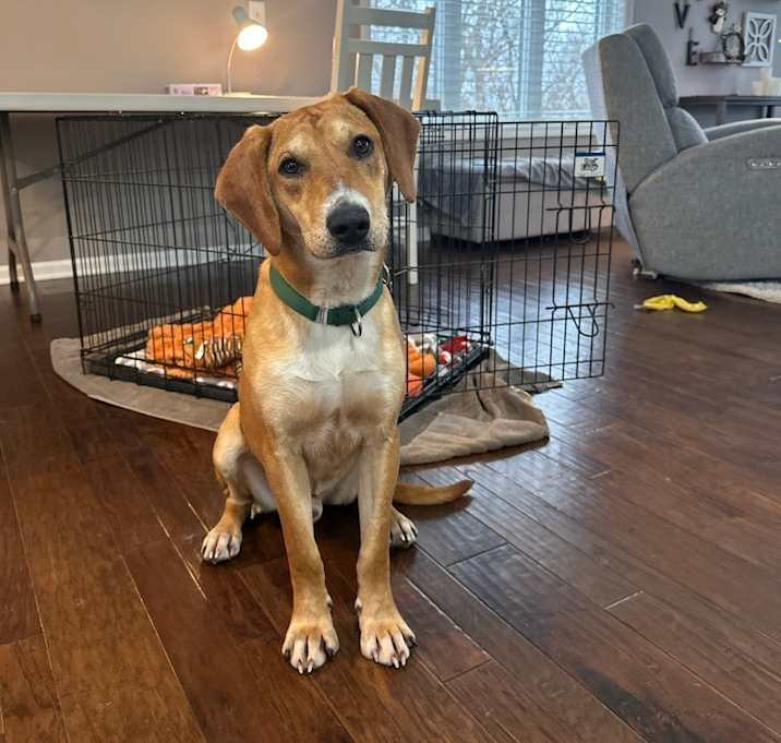 Photo of Buddy