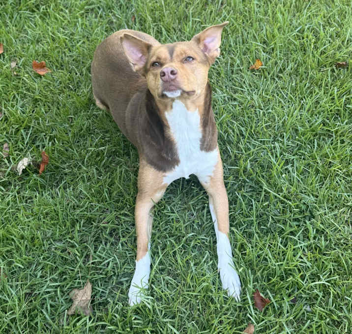 Photo of Ember