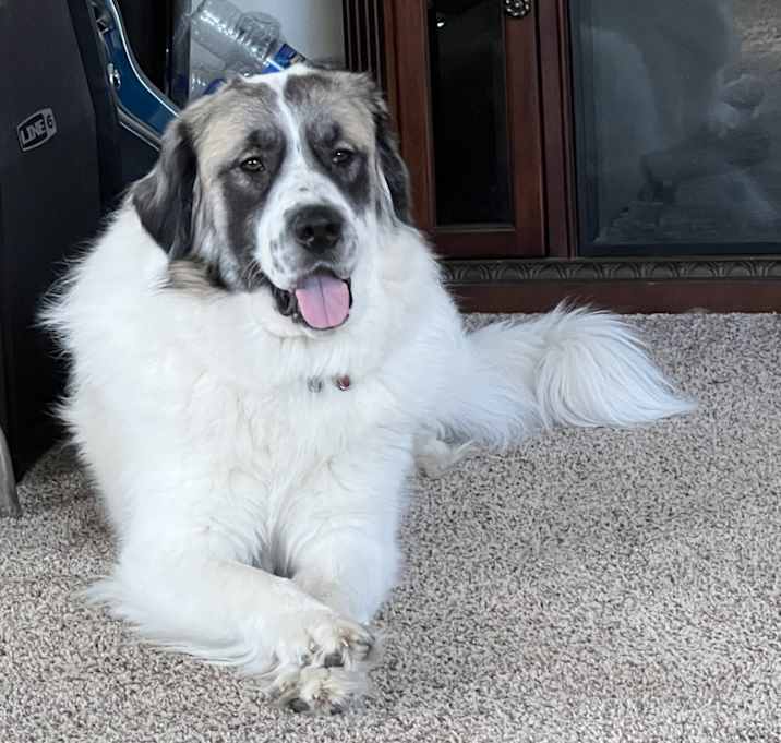 Photo of Hercules