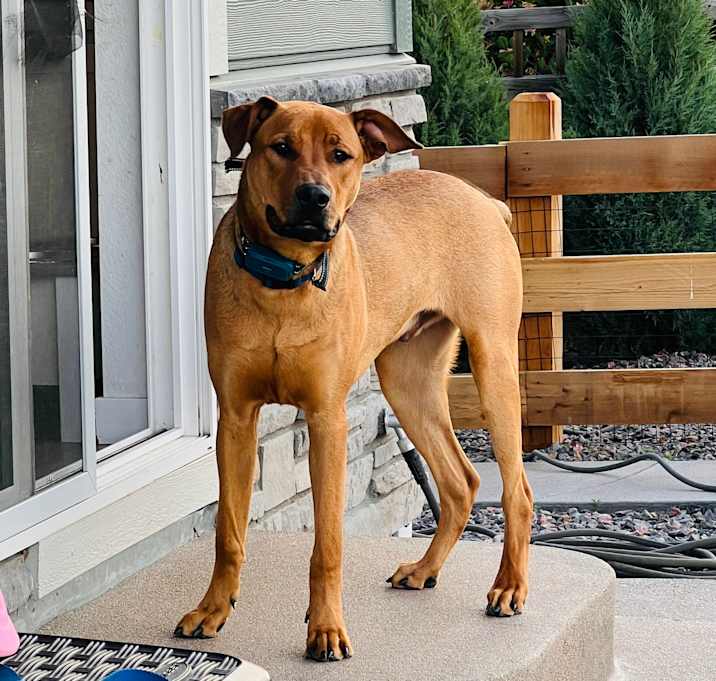 Photo of Duke