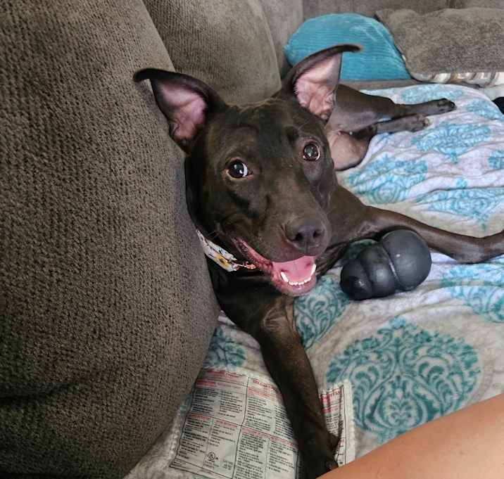Photo of Nova