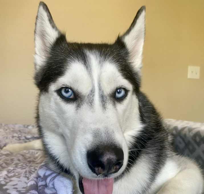 Photo of Leah