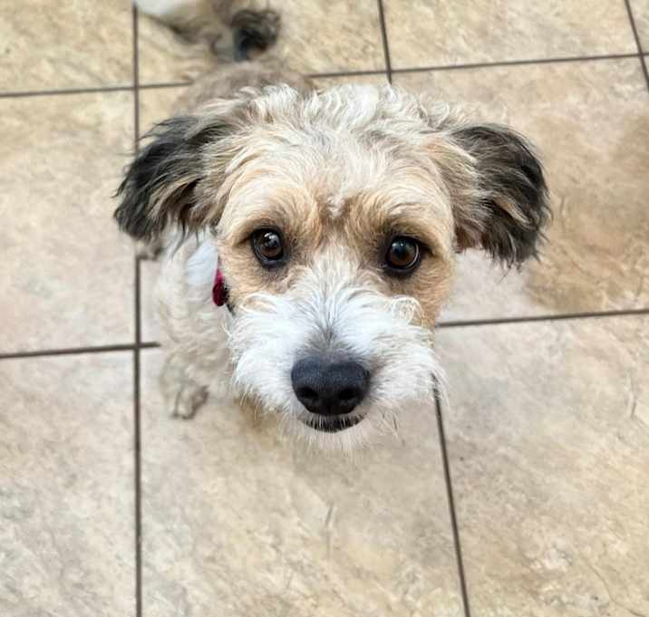 Photo of Mia