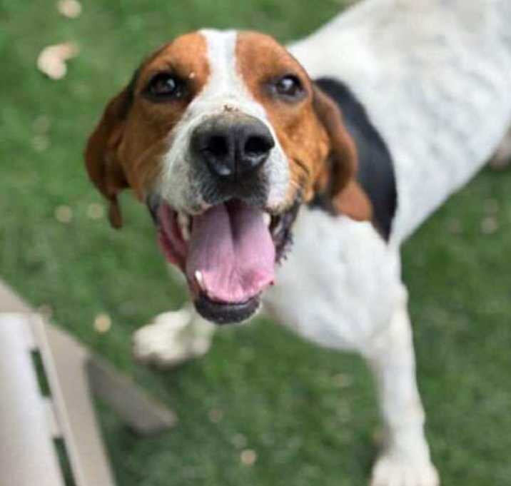 Photo of Dottie