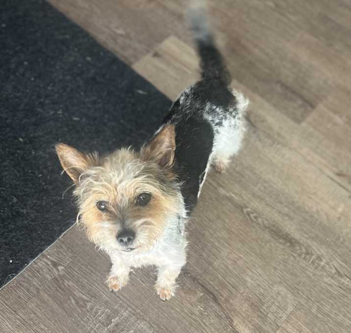 Photo of Chubbs