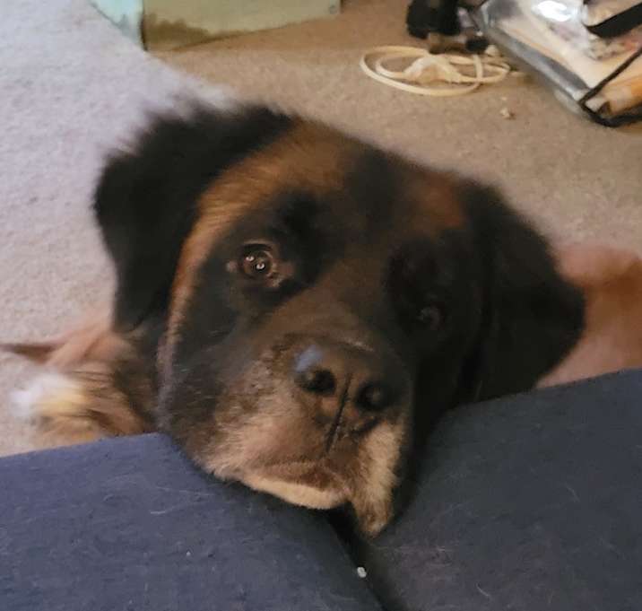 Photo of Clifford