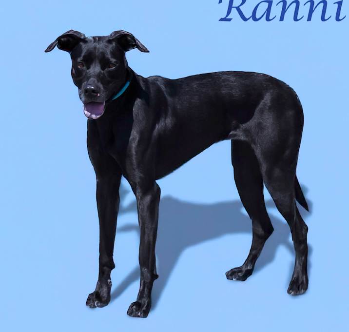 Photo of Ranni D22-061