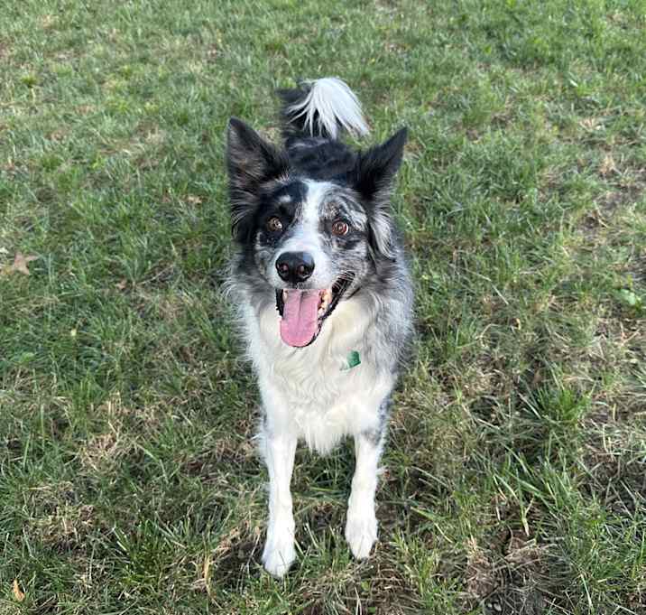 Photo of Finn