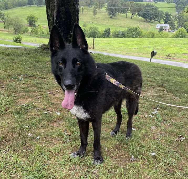 Photo of Luna
