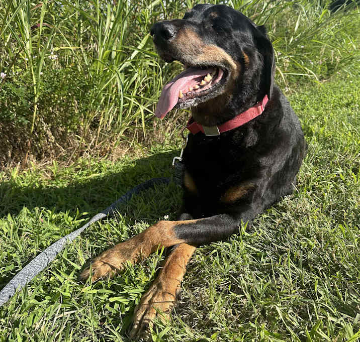Photo of Zeus