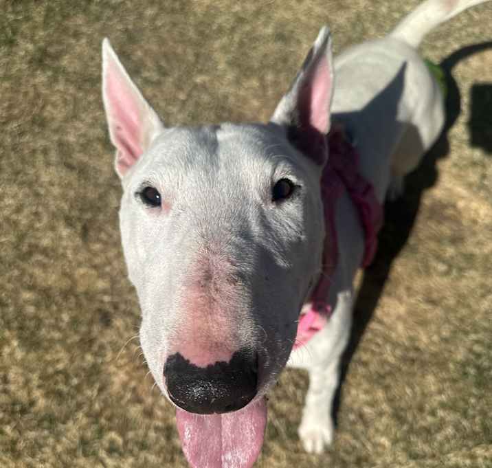 Photo of Chyna