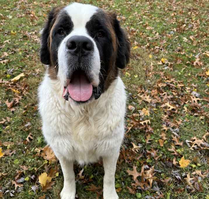 Photo of George