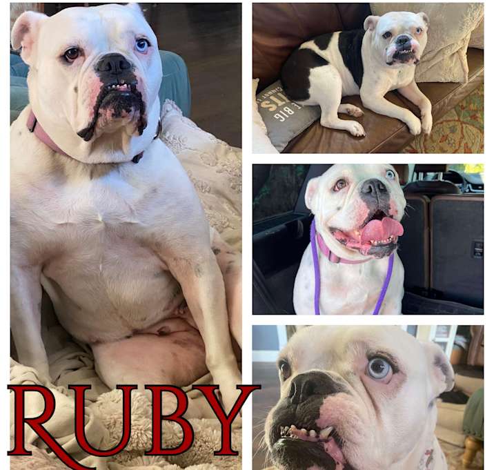 Photo of Ruby