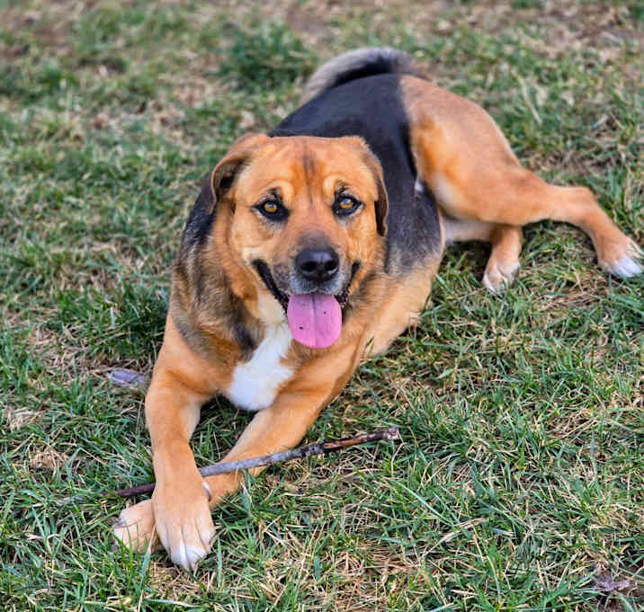 Photo of Evie