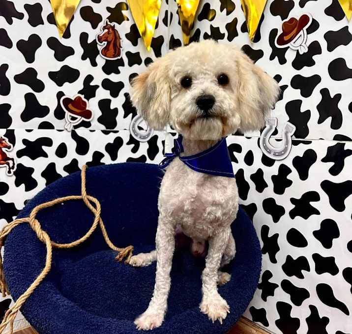 Photo of CHARLIE