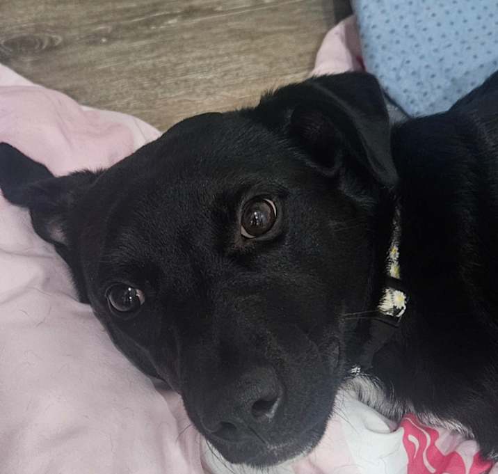 Photo of ELSA