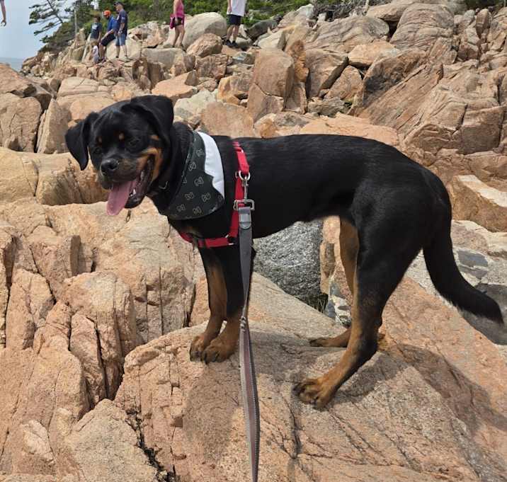 Photo of Athena