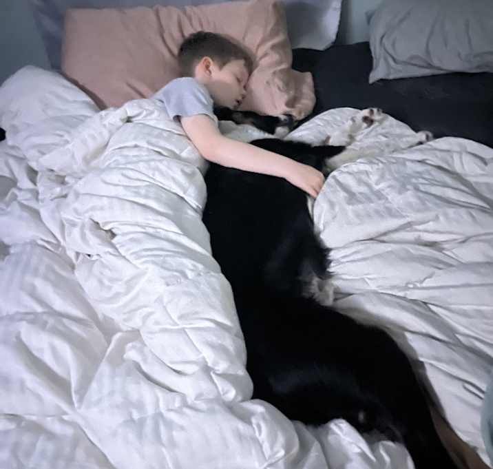 Photo of Charlie
