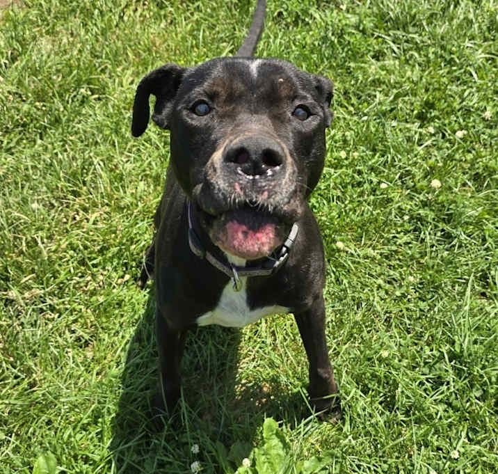 Photo of Luna