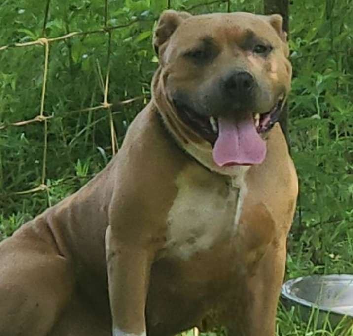 Photo of Sugar