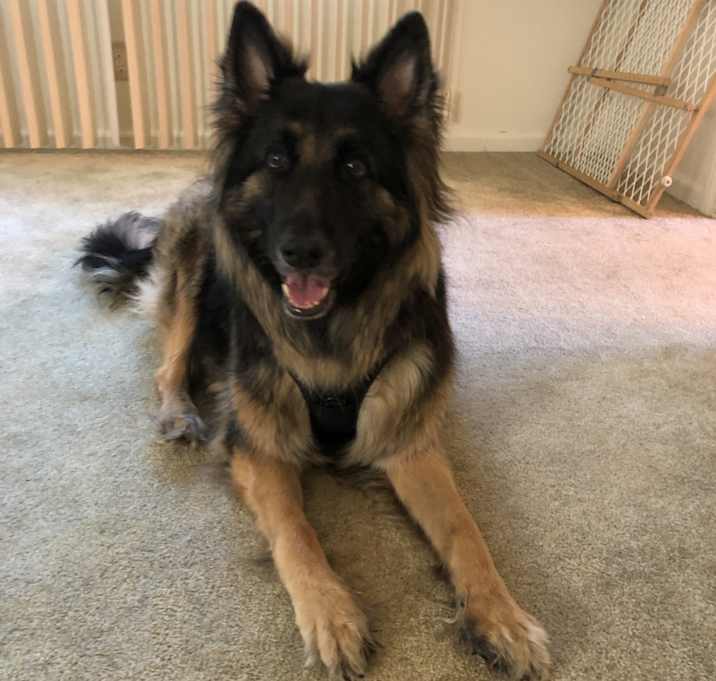 Photo of Kaiya