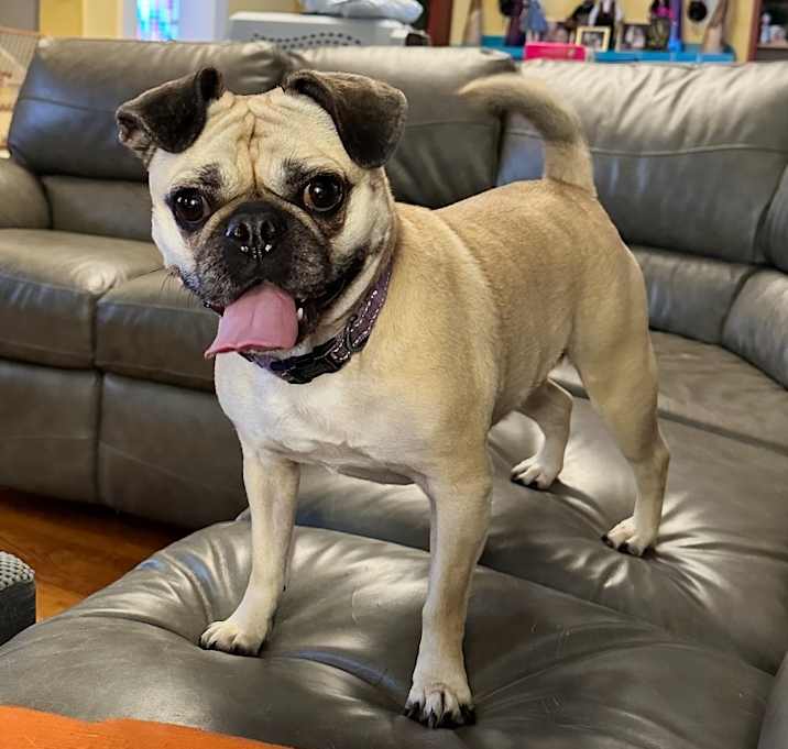 Photo of Honey