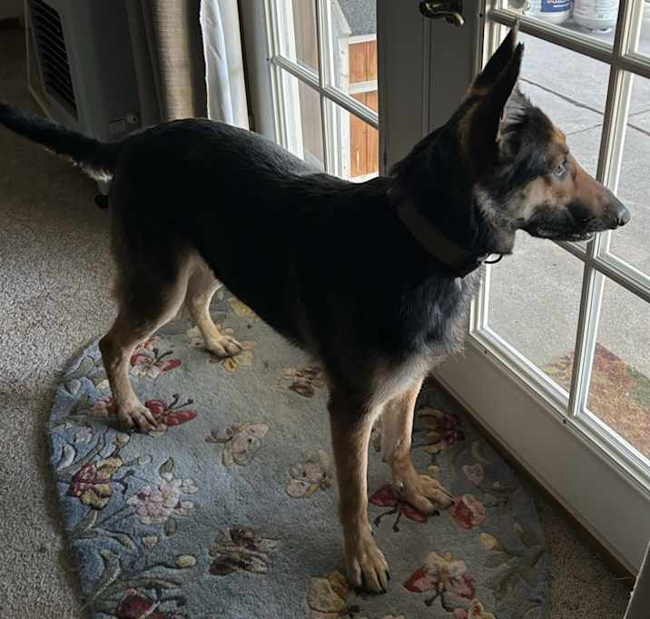 Photo of Zena