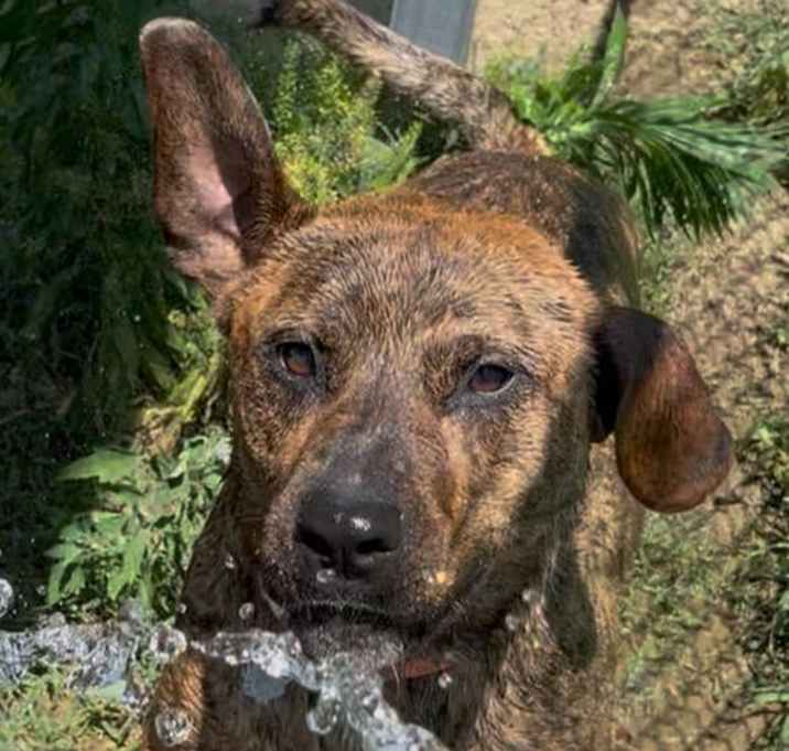 Photo of Recon