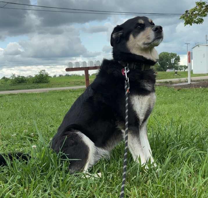 Photo of Max