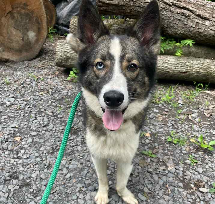 Photo of Jet