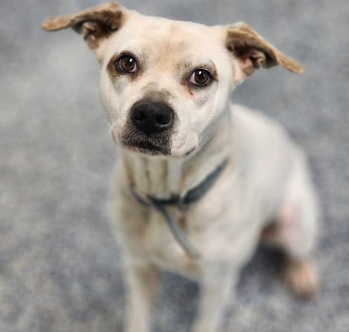 Photo of Nova