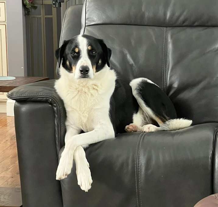 Photo of Carl