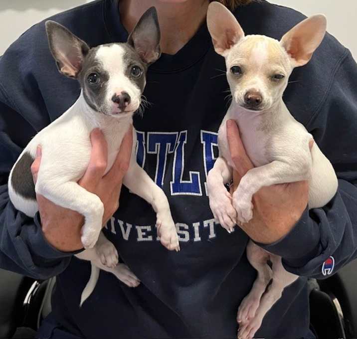 Photo of Emily & Ted
