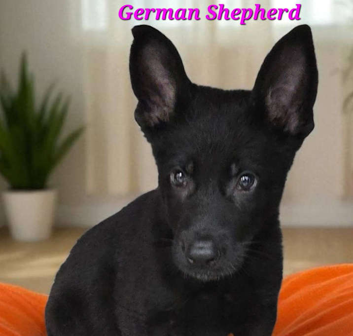 Photo of Heidi